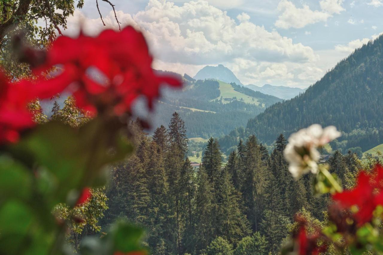 Apartment Wachinghof Reith bei Kitzbühel Εξωτερικό φωτογραφία