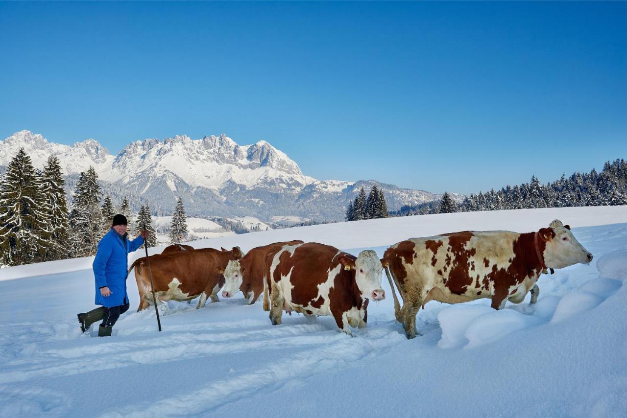 Apartment Wachinghof Reith bei Kitzbühel Εξωτερικό φωτογραφία