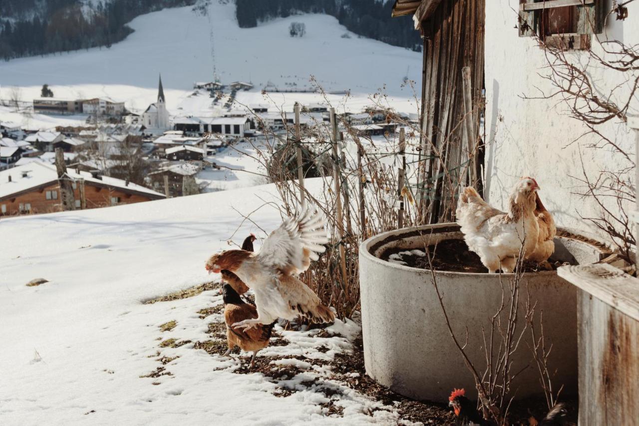 Apartment Wachinghof Reith bei Kitzbühel Εξωτερικό φωτογραφία